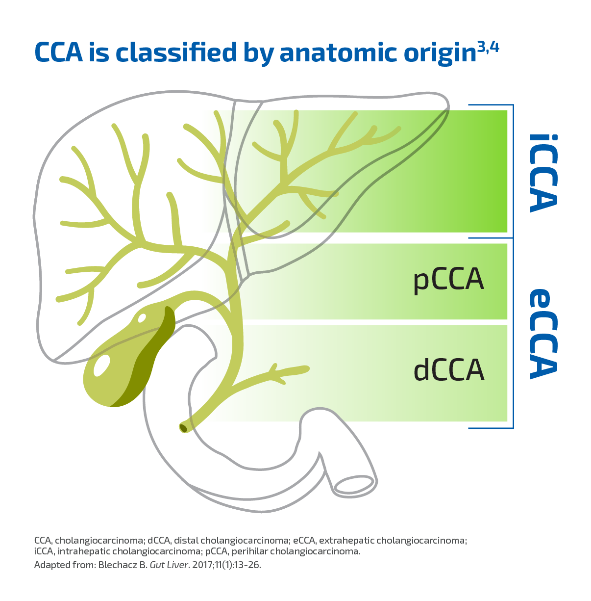 CCA can be classified into 3 anatomic subtypes