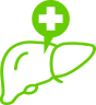 Small image of liver - iCCA