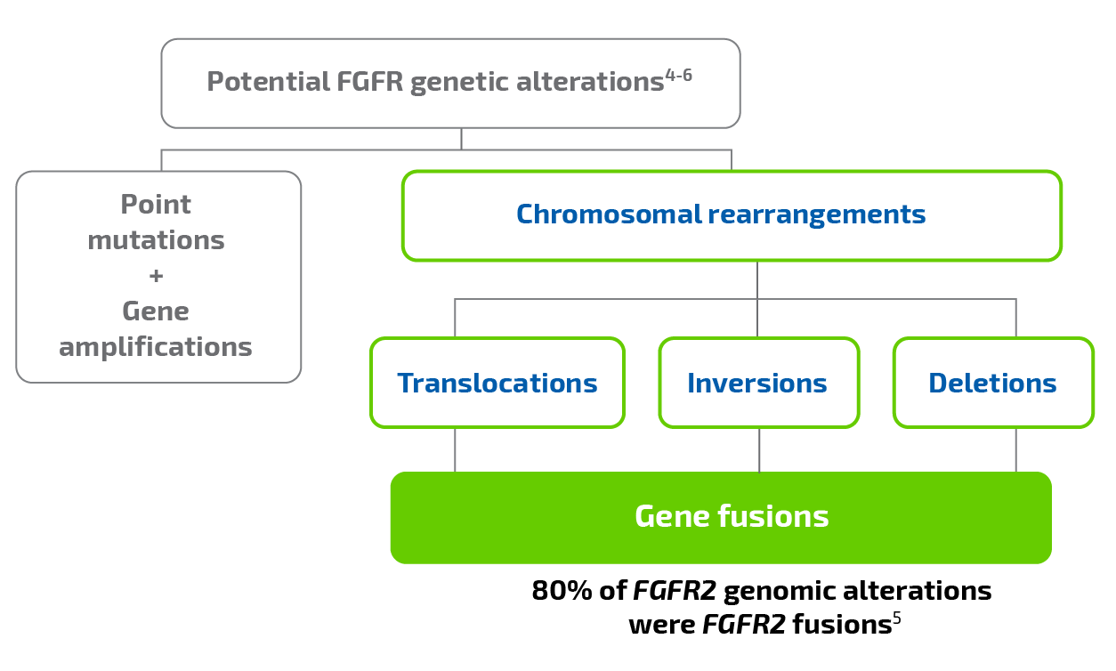 Image of table - Potential FGFR genetic alterations